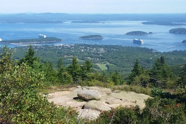 Scenic view of ocean, islands, and cruise ships from a high vantage point.