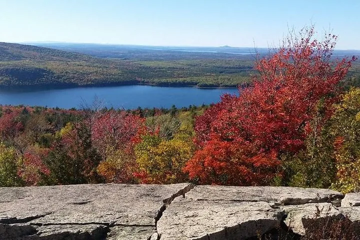 Blick auf einen See und bewaldete Hügel mit leuchtendem Herbstlaub.