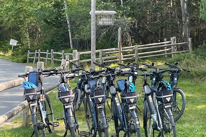 Several electric bicycles parked near a sign pointing to Carriage Road.